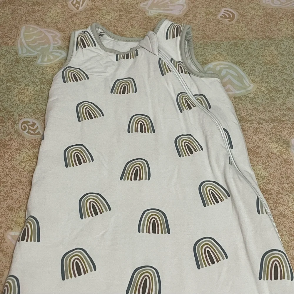 Kyte Baby Sleep Bag 1.0 TOG in Aloe Rainbow Size Medium
